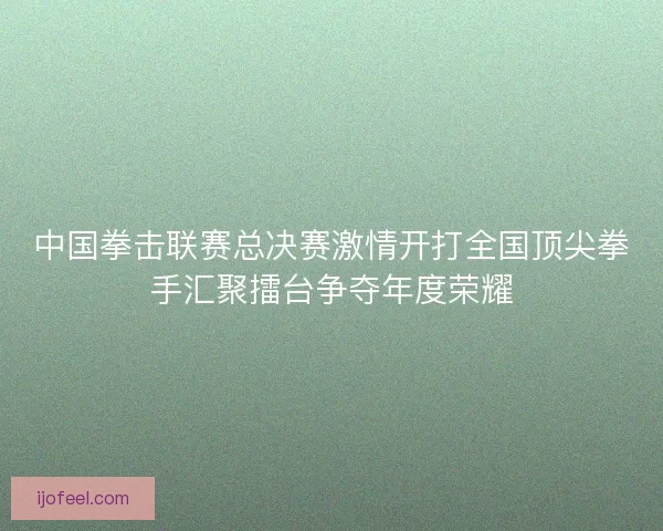 中国拳击联赛总决赛激情开打全国顶尖拳手汇聚擂台争夺年度荣耀